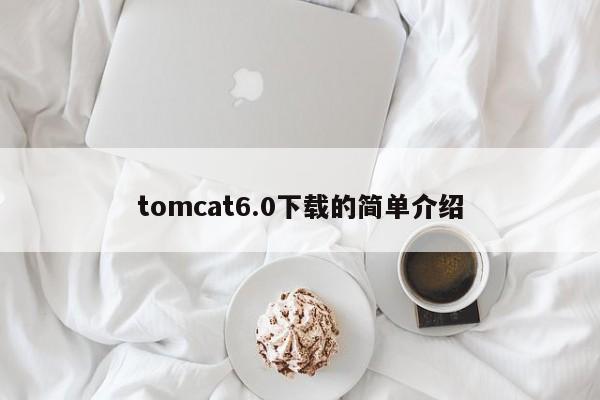 tomcat6.0下载的简单介绍