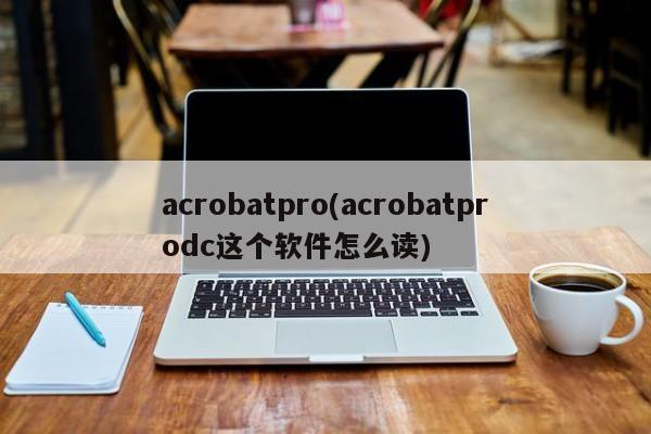 acrobatpro(acrobatprodc这个软件怎么读)